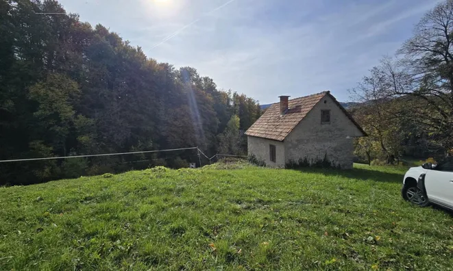 Недвижимость Manor, Lopatsa Farm: 1