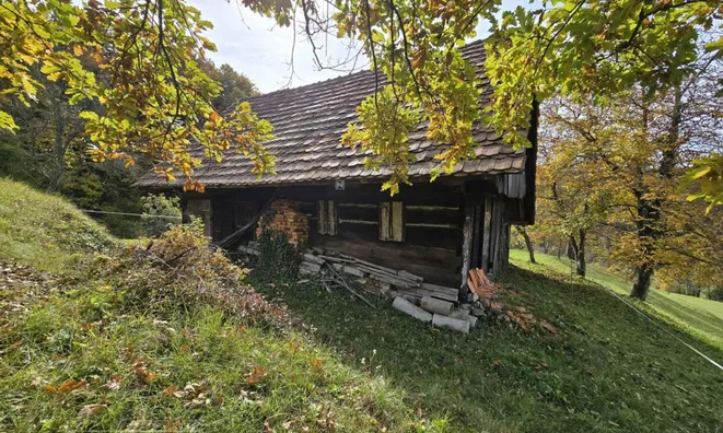 Недвижимость Manor, Lopatsa Farm: 3