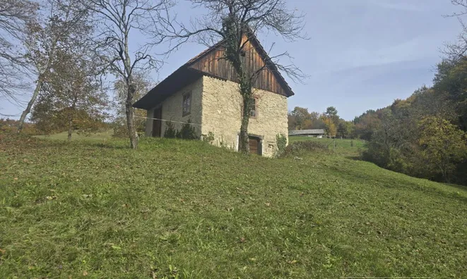 Недвижимость Manor, Lopatsa Farm: 5