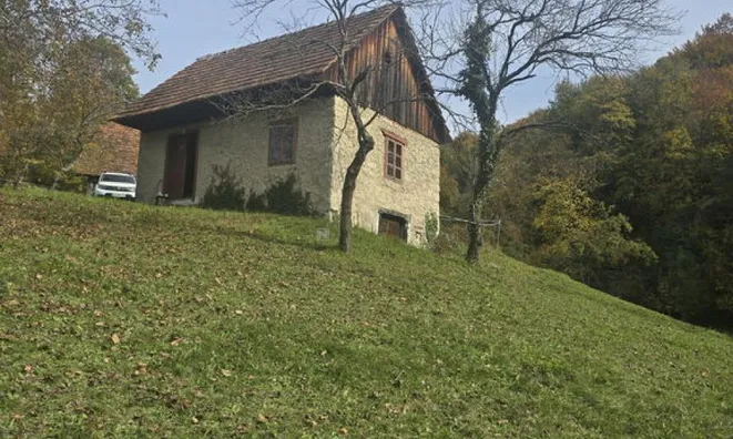 Недвижимость Manor, Lopatsa Farm: 6
