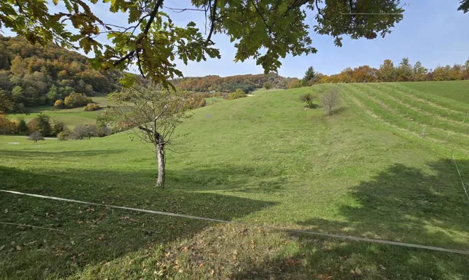 Недвижимость Manor, Lopatsa Farm: 11