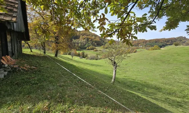 Недвижимость Manor, Lopatsa Farm: 12