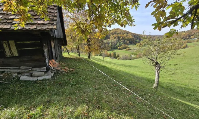 Недвижимость Manor, Lopatsa Farm: 14