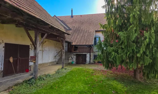 Недвижимость Estate, Lukavtsy Farm: 8