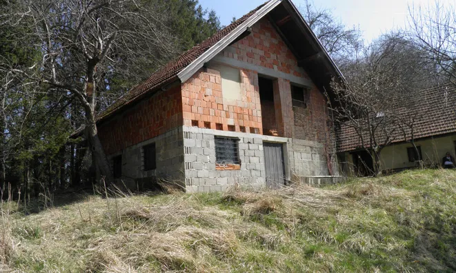 Недвижимость Поместье, ферма Мария-Река.: 2
