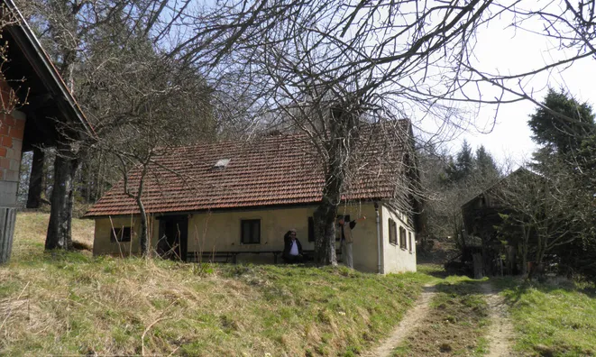 Недвижимость Поместье, ферма Мария-Река.: 3