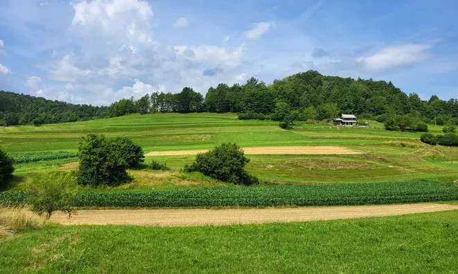 Недвижимость Estate, farm New Place, village end, near Goryantsy.: 5