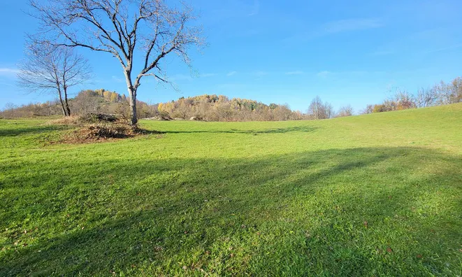 Недвижимость Estate, farm New Place, village end, near Goryantsy.: 6