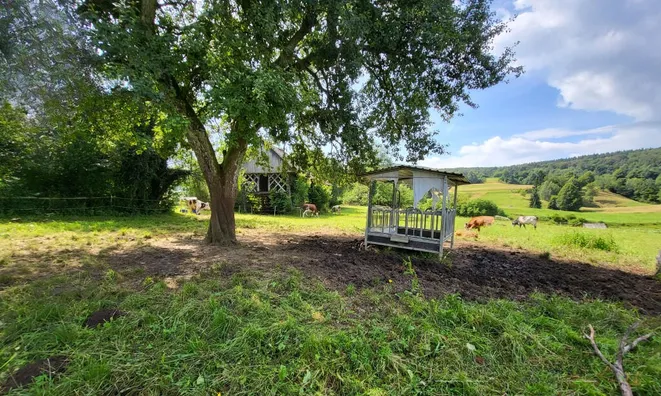 Недвижимость Estate, farm New Place, village end, near Goryantsy.: 9