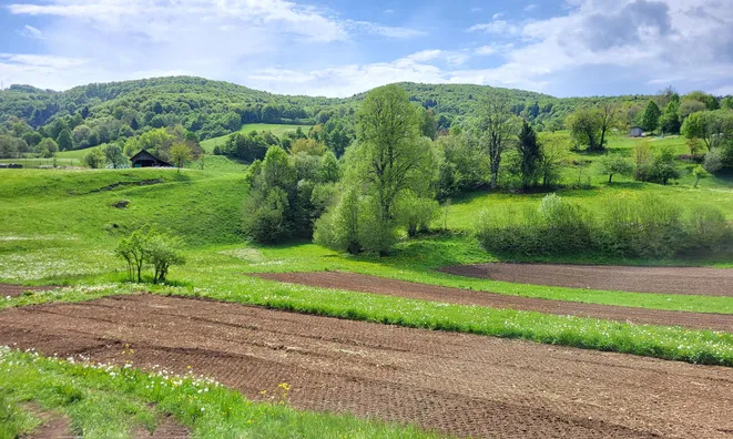 Недвижимость Estate, farm New Place, village end, near Goryantsy.: 10