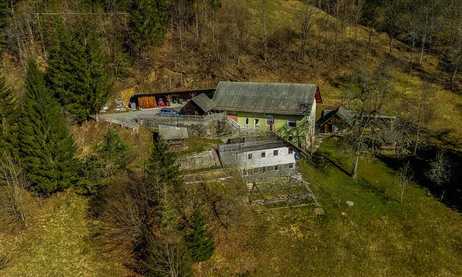 Недвижимость Estate, Osoynitsa Farm: 12