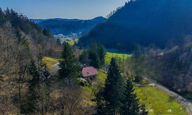Недвижимость Estate, Osoynitsa Farm: 13