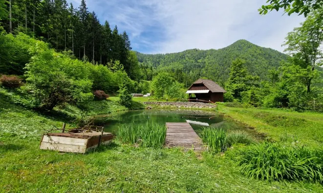 Недвижимость Podkray Estate near Mezhitsa, Mezhitsa: 1