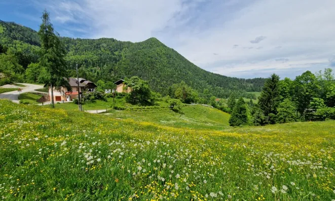Недвижимость Podkray Estate near Mezhitsa, Mezhitsa: 3