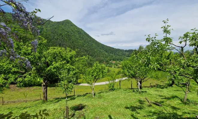 Недвижимость Podkray Estate near Mezhitsa, Mezhitsa: 11