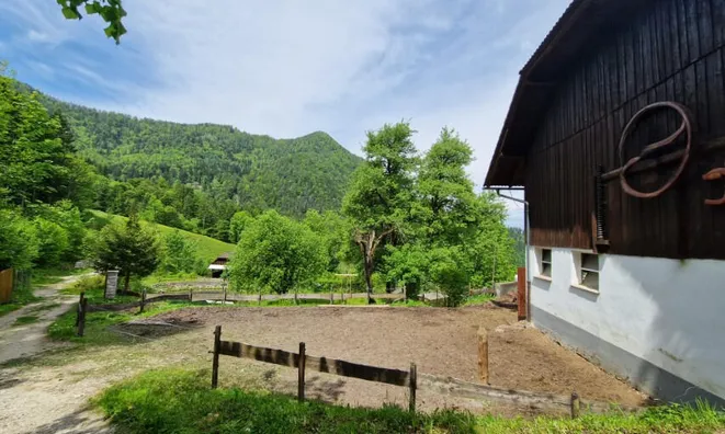 Недвижимость Podkray Estate near Mezhitsa, Mezhitsa: 17