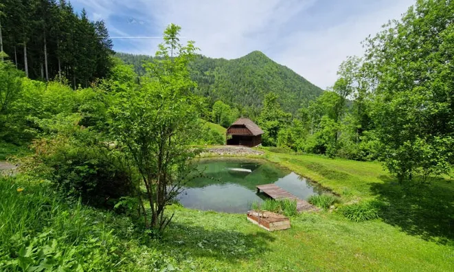 Недвижимость Podkray Estate near Mezhitsa, Mezhitsa: 18