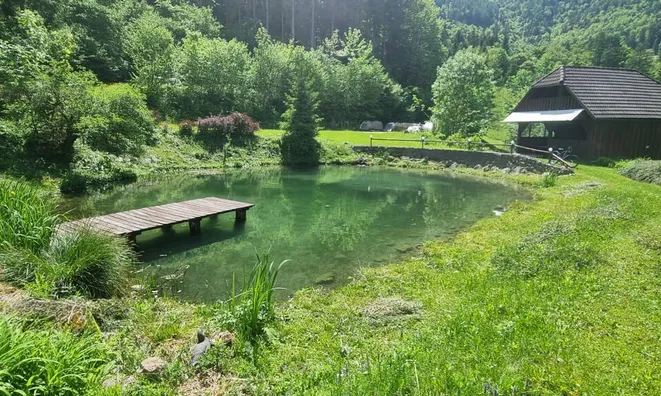 Недвижимость Podkray Estate near Mezhitsa, Mezhitsa: 23