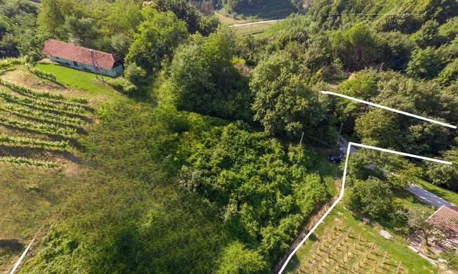 Недвижимость Pohorje Estate, Farm.: 2