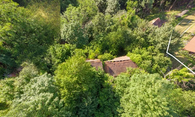 Недвижимость Pohorje Estate, Farm.: 3