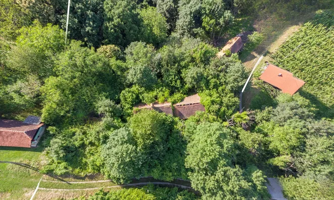 Недвижимость Pohorje Estate, Farm.: 4