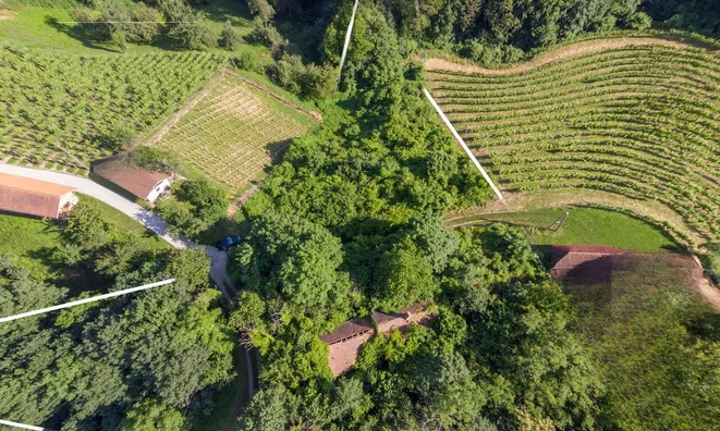 Недвижимость Pohorje Estate, Farm.: 6