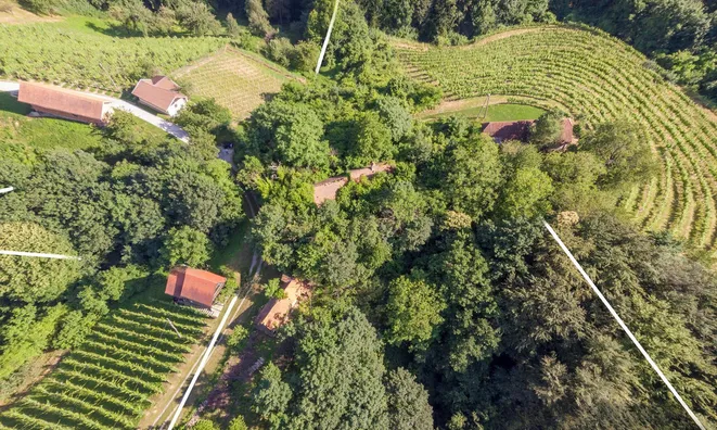 Недвижимость Pohorje Estate, Farm.: 7