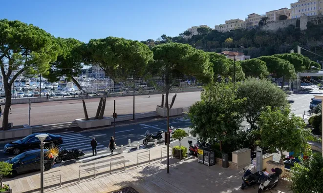 Недвижимость Apartment Monaco, Port: 1