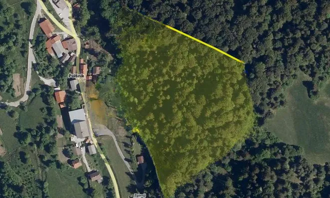 Недвижимость Estate, Polshnik Farm, 22: 1