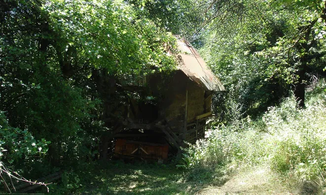 Недвижимость Поместье, сельская усадьба Пребольд.: 7
