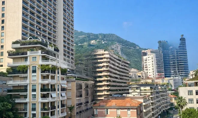 Недвижимость Apartment Monaco, La Rousse: 8