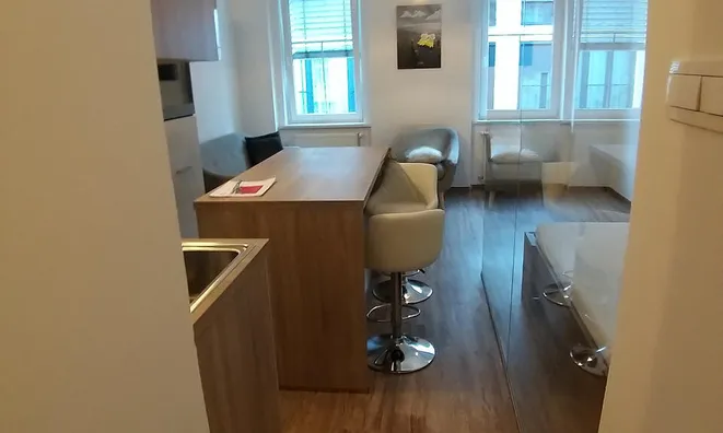 Недвижимость Studio apartment on Frankopanska: 1