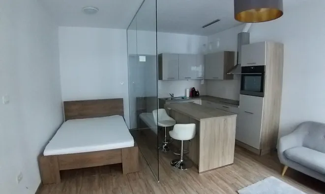 Недвижимость Studio apartment on Frankopanska: 3