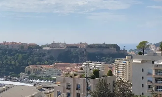 Недвижимость Apartment Monaco, Carre d'Or: 8