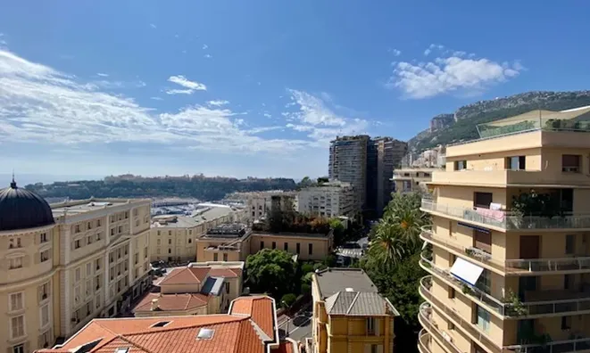 Недвижимость Apartment Monaco, Carre d'Or: 14