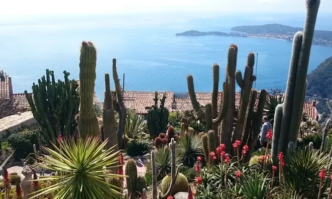 Недвижимость Apartment Monaco, Jardin Exotique: 1