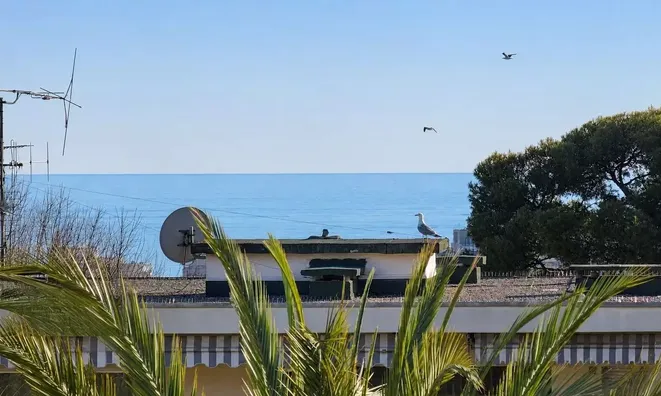 Недвижимость Villa Cannes Californie: 10