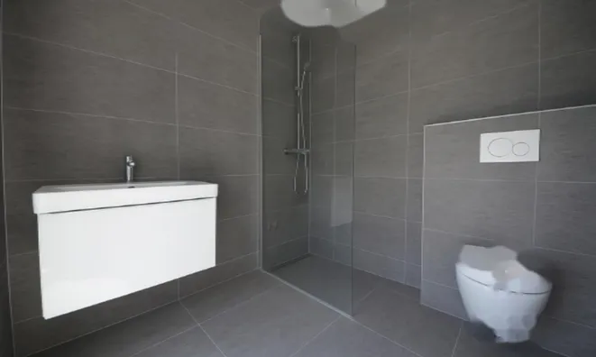 Недвижимость Квартира, 4-комнатная, Новый Шентяков: 13