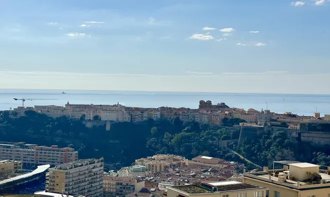 Недвижимость Apartment Monaco, Moneghetti: 2