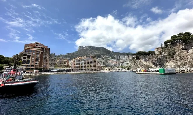 Недвижимость Apartment Monaco, La Rousse: 23