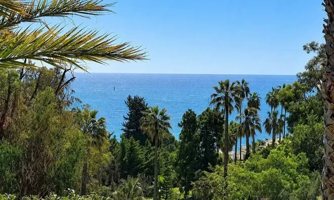 Недвижимость Villa Cannes: 4