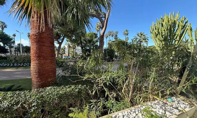 Недвижимость Villa Pointe Croisette: 23
