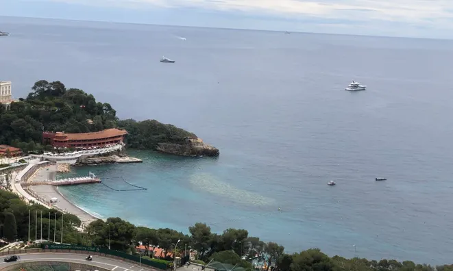 Недвижимость Apartment Monaco, Saint Roman: 20