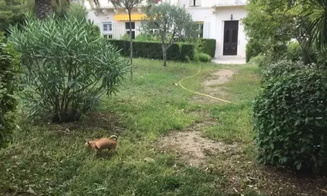 Недвижимость Villa Petit Juas Cannes: 5