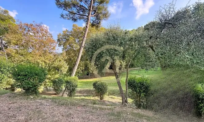 Недвижимость Villa Cannes: 22