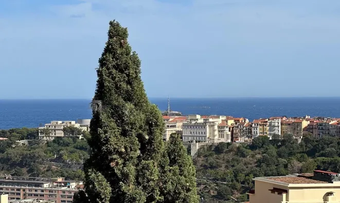 Недвижимость Apartment Monaco, Moneghetti: 13