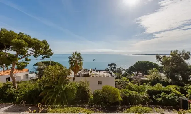 Недвижимость Triplex Cannes: 13