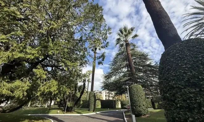 Недвижимость Apartment California: 15