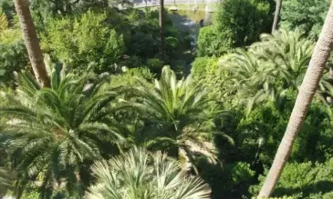 Недвижимость Villa Cannes: 8