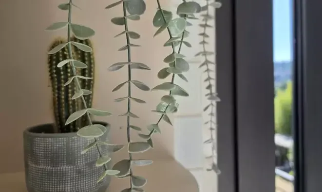 Недвижимость Villa Petit Juas: 18